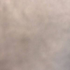 Meet your Posher, Maggie